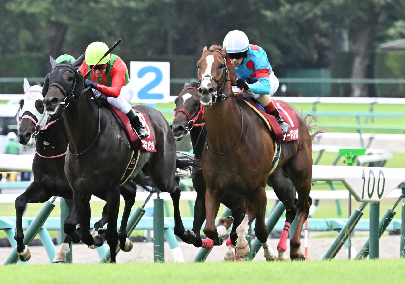 朝日杯セントライト記念を制したアーバンシックとルメール騎手（手前右）（撮影・千葉一成）
