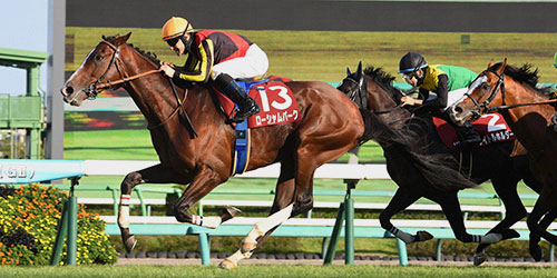 オールカマーを制したローシャムパーク（左）（撮影・柴田隆二）＝2023年9月24日、中山競馬場