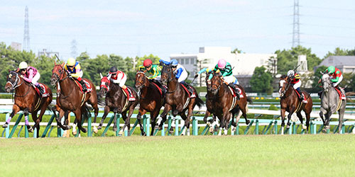 サトノグランツ（左から4頭目赤帽子）がゴール前抜け出して神戸新聞杯を制した（撮影・白石智彦）＝2023年9月24日、阪神競馬場
