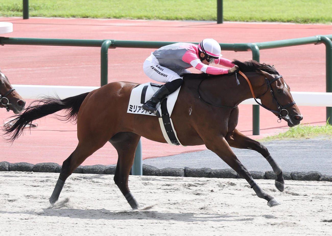 中京4R、直線抜け出して新馬戦を制したミリアッドラヴ（撮影・白石智彦）
