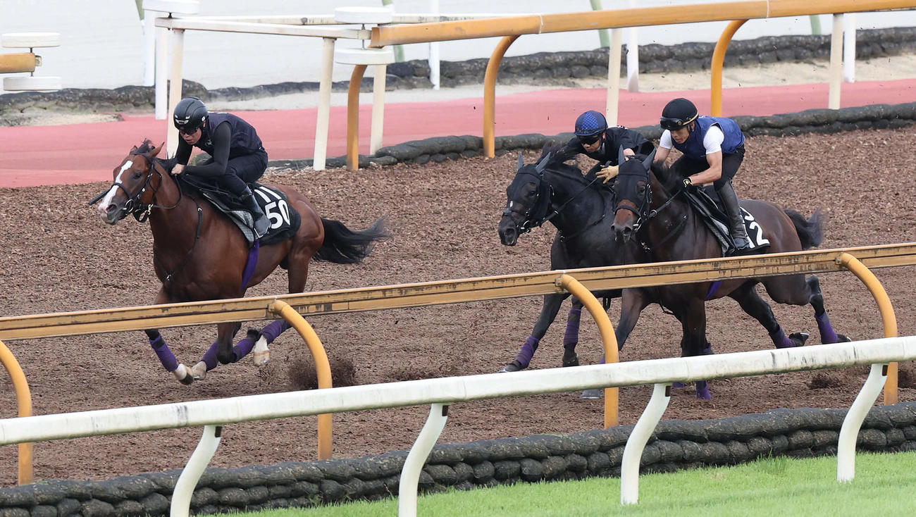 12日、Cウッドを3頭併せで追い切るメリオーレム（左）と荻野極騎手騎乗のオールセインツ（中央）