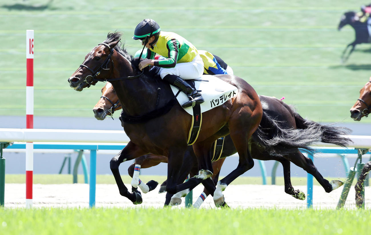 24年5月、3歳未勝利戦を制したバッデレイト