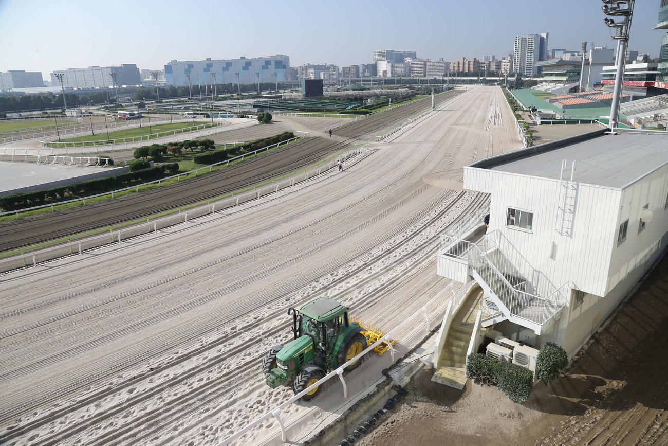 大井競馬場のダートコース（2023年11月3日撮影）