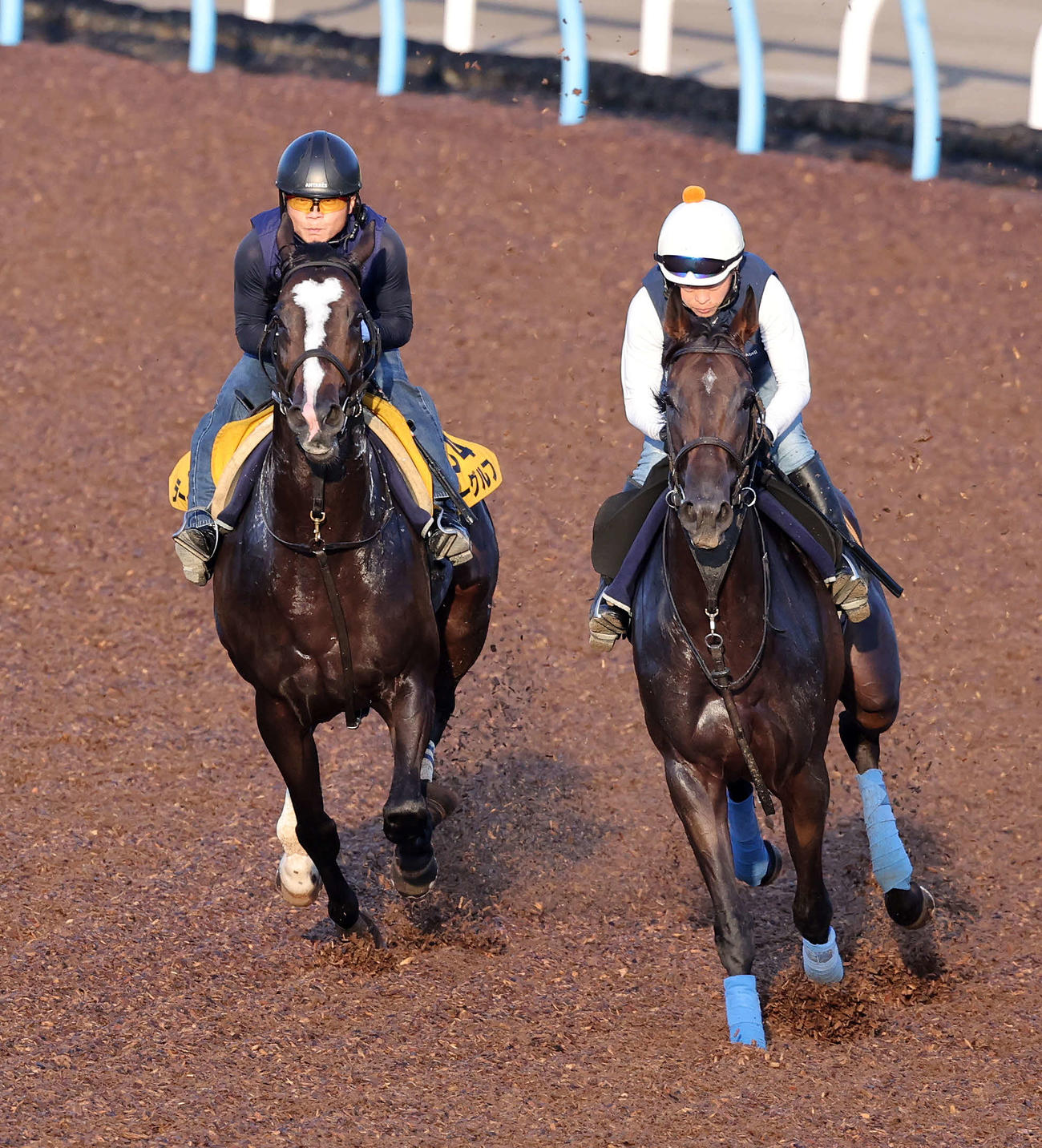 美浦ウッドを併せ馬で追い切るラーグルフ（左）（撮影・鈴木正人）