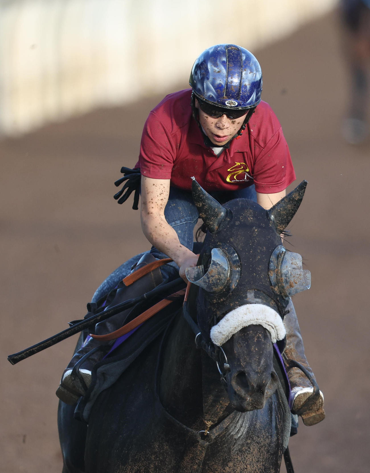 横山武騎手を背に坂路を併せ馬で追い切るナムラクレア（撮影・白石智彦）