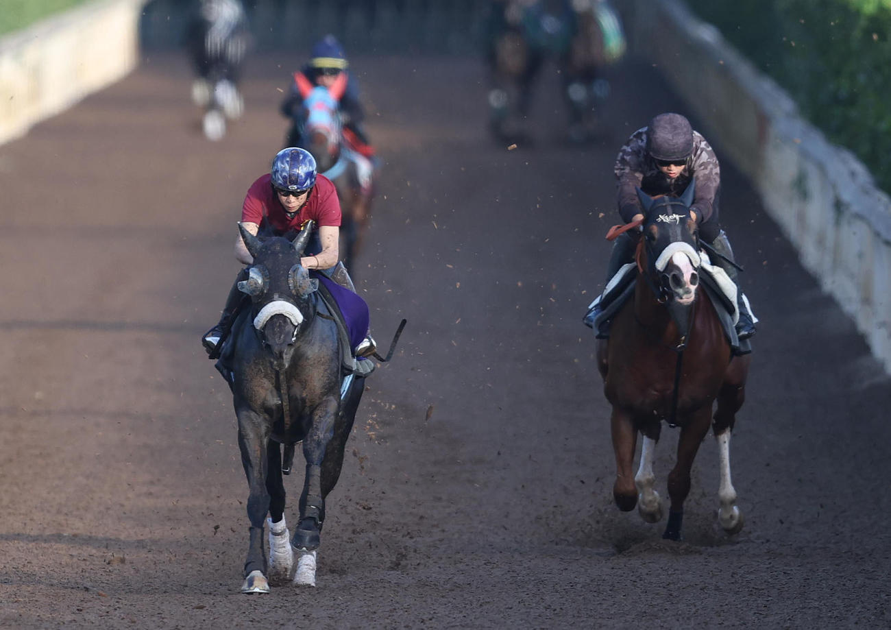 横山武騎手を背に坂路を併せ馬で追い切るナムラクレア（左）（撮影・白石智彦）