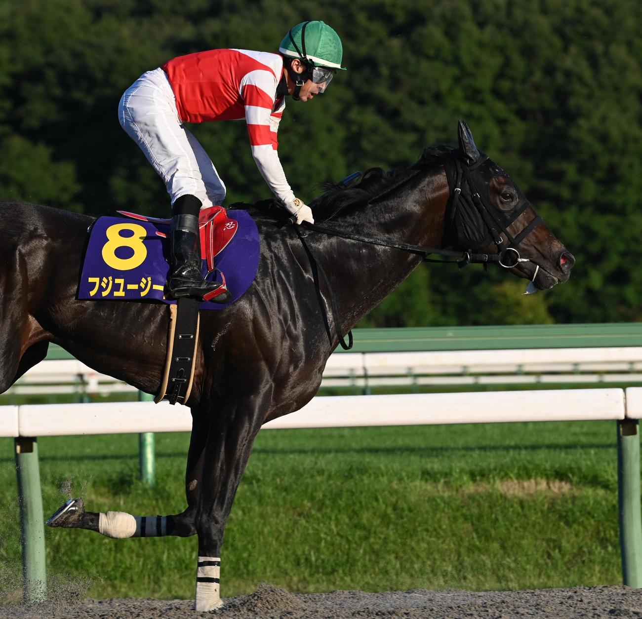 不来方賞で4着に入った水沢のフジユージーン