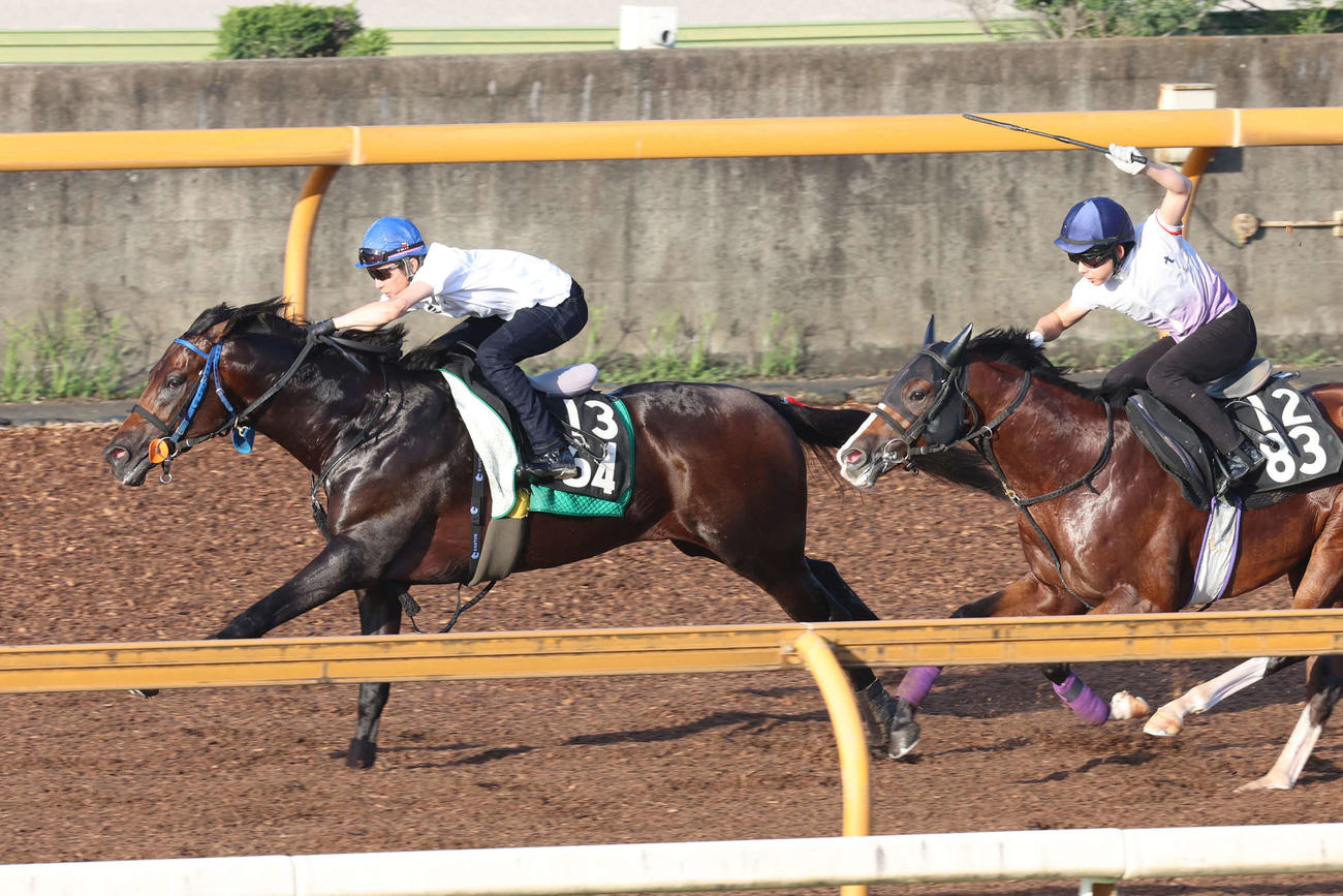 武豊騎手が騎乗し、Cウッドで併せ馬に先着するサブマリーナ（左）。右はレッドリベルタ