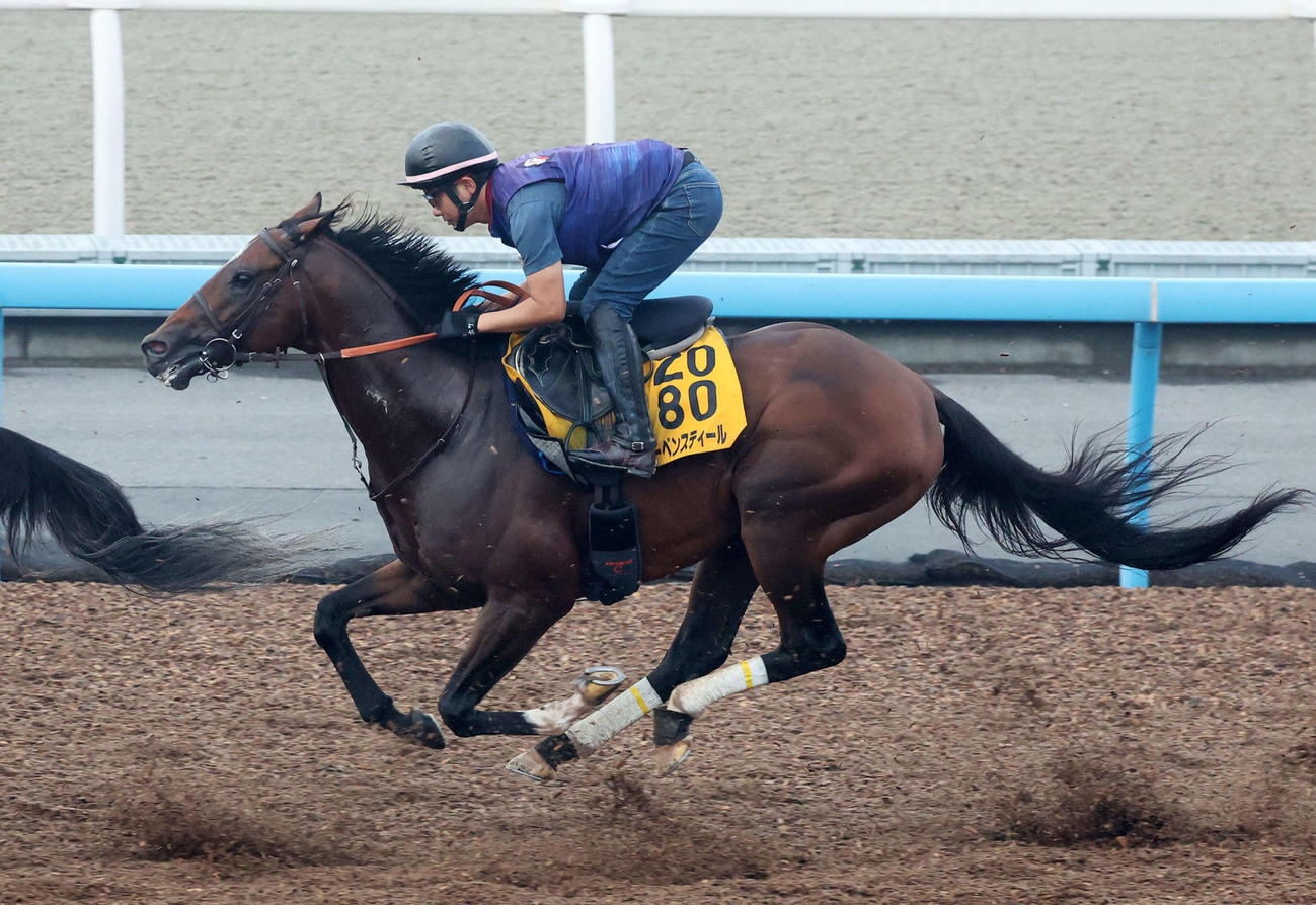美浦ウッドで追い切るレーベンスティール（撮影・鈴木正人）