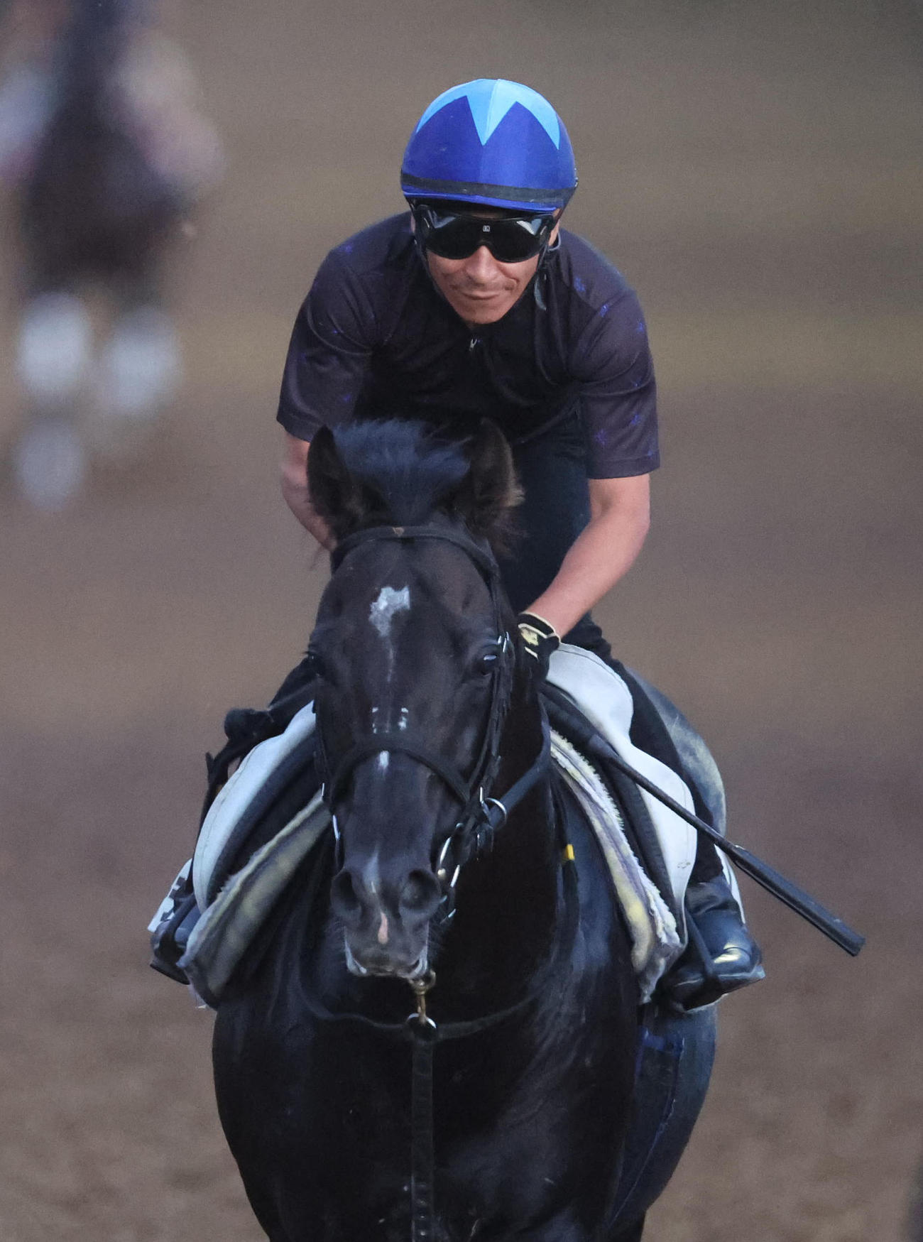 横山典騎手を背に坂路を単走で追い切るステラヴェローチェ（撮影・白石智彦）