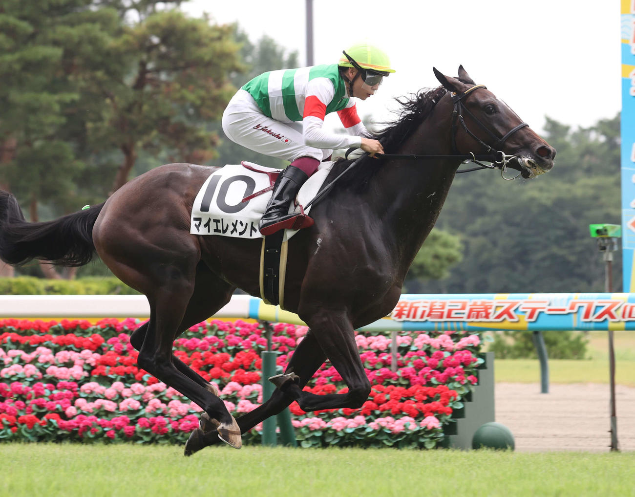 8月25日、新馬戦を制したマイエレメントと横山武騎手