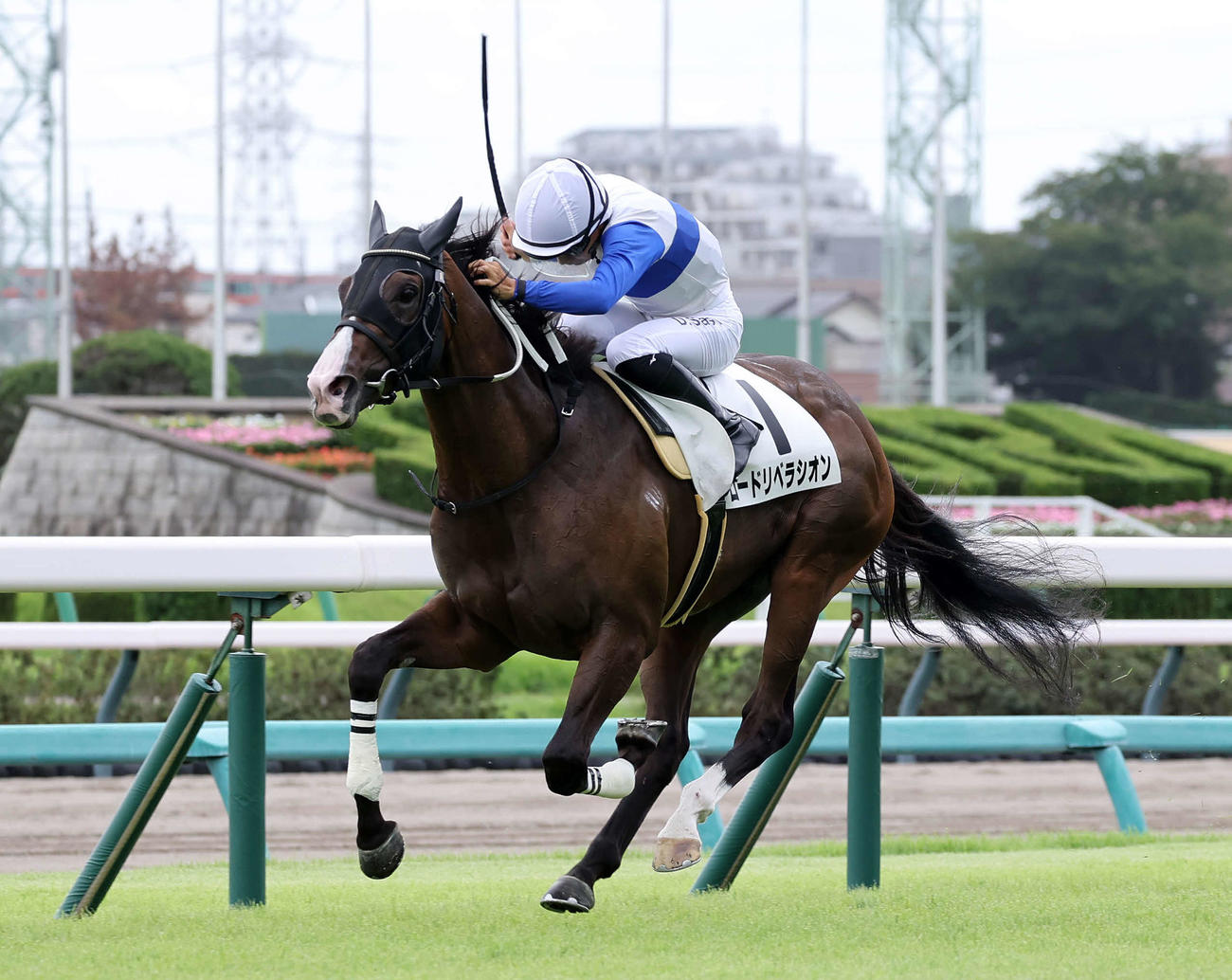2歳未勝利を制したロードリベラシオンと佐々木大輔騎手（撮影・鈴木正人）