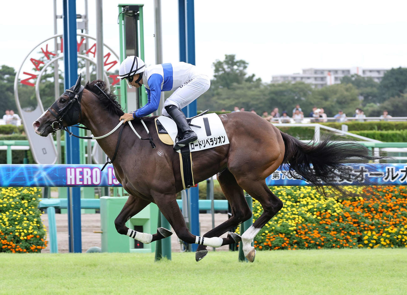2歳未勝利を制したロードリベラシオンと佐々木大輔騎手（撮影・鈴木正人）