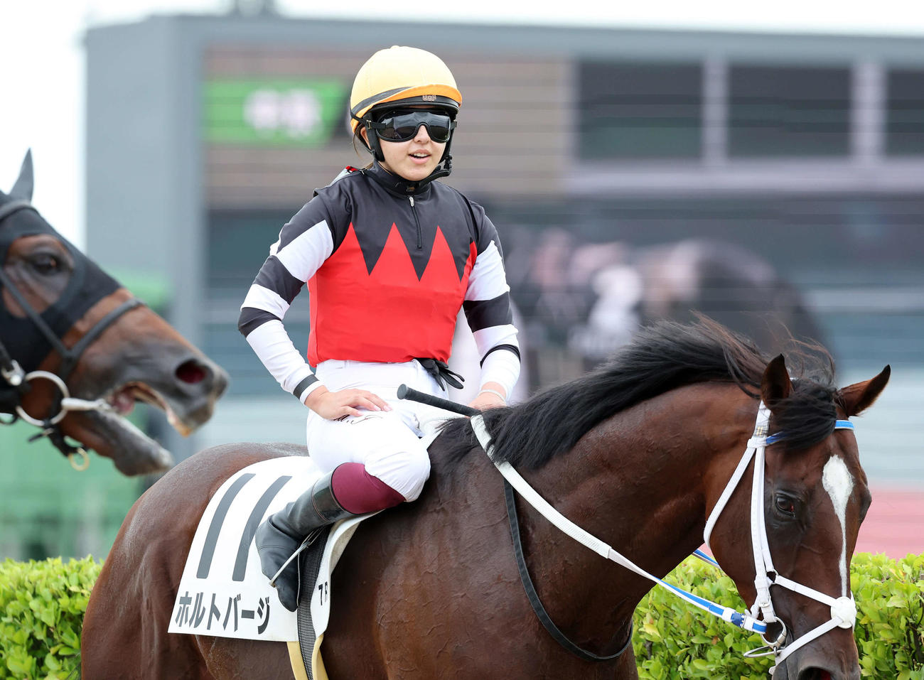 レース復帰した今村聖奈騎手（撮影・鈴木正人）