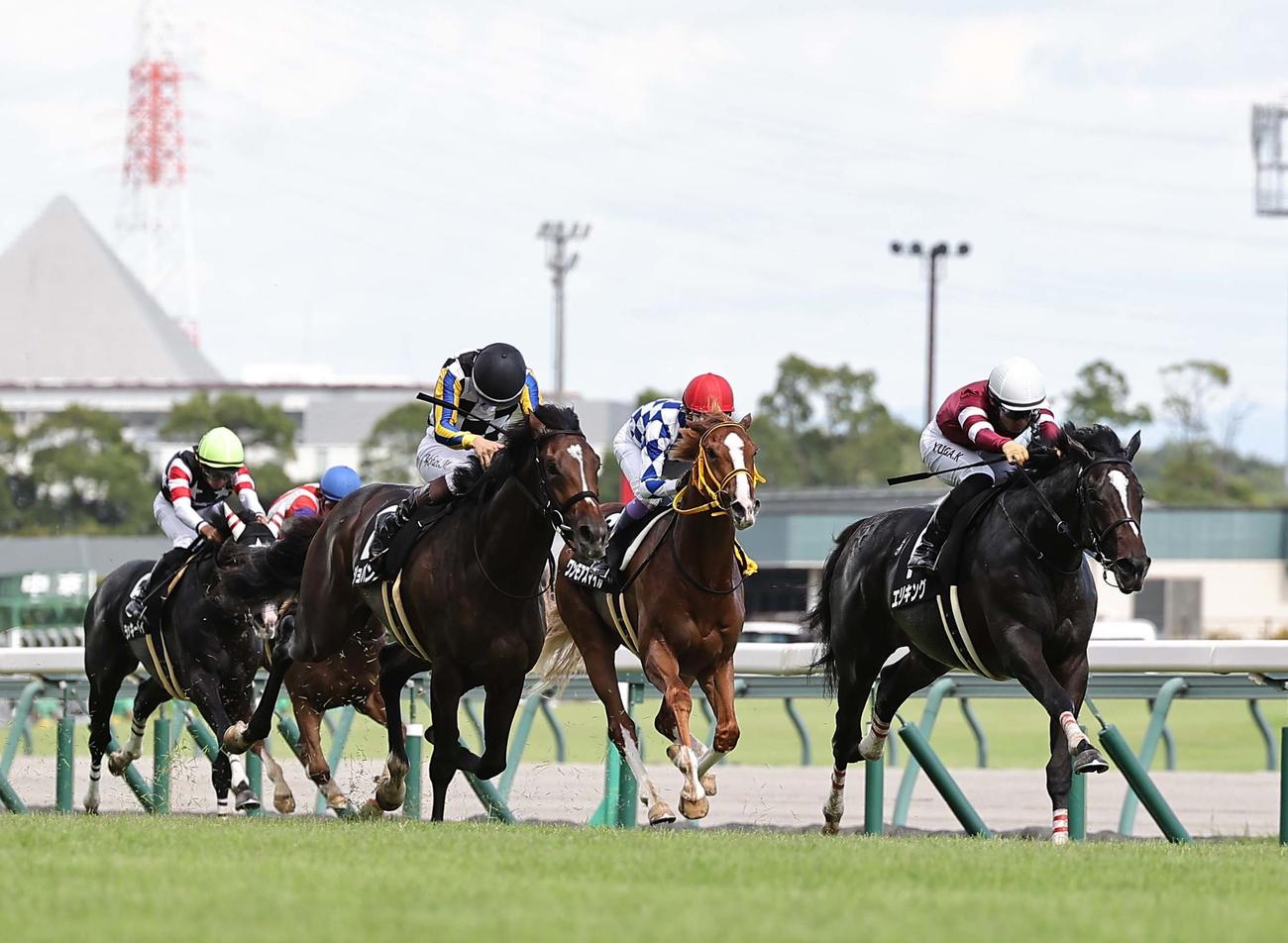 中京8R野路菊Sを制したエリキング（右）（撮影・上田博志）