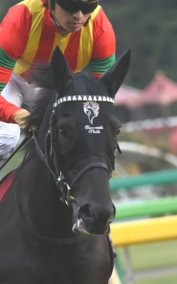 マーティンボロ（2015年撮影）