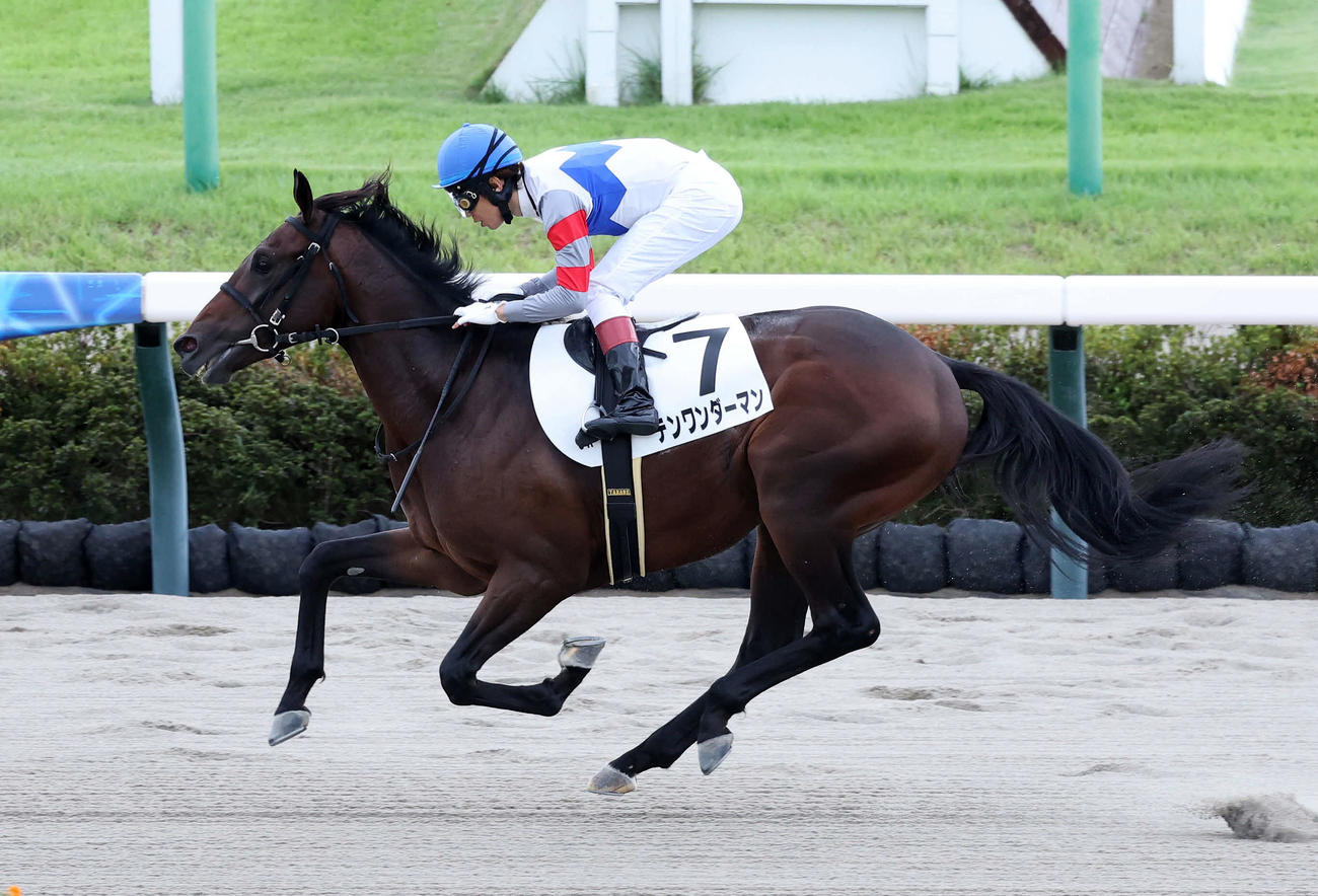 2着馬に3馬身差をつけ新馬戦を快勝したテンワンダーマンと田辺騎手（撮影・鈴木正人）