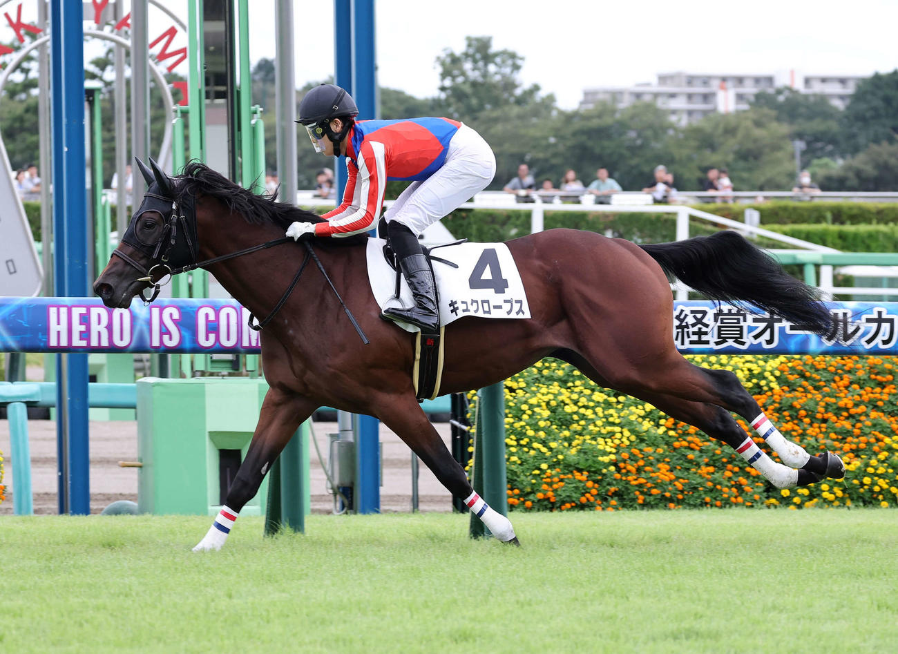 新馬戦を制したキュクロープスと斎藤騎手（撮影・鈴木正人）