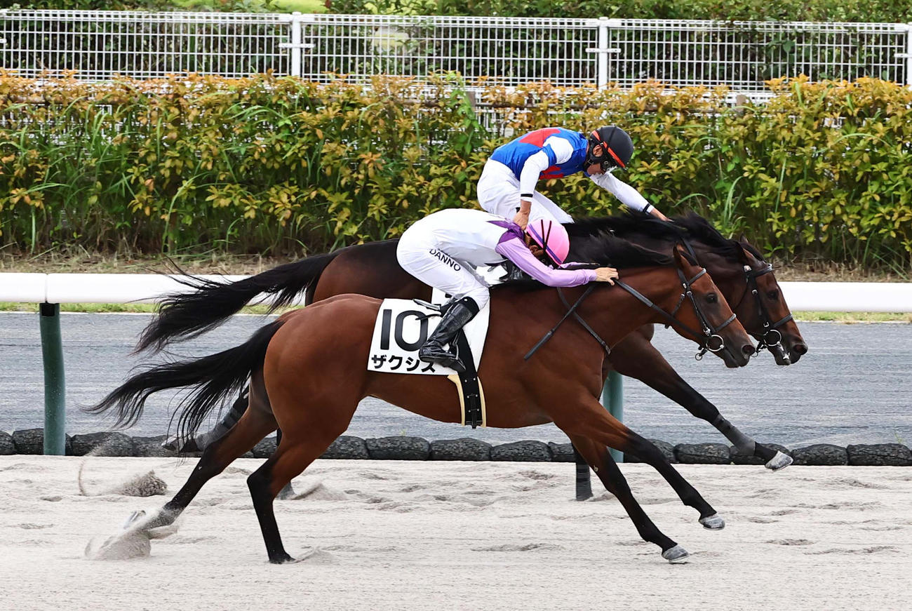 ゴール前で差し切り鼻差で新馬戦を勝ったザクシス（手前）（撮影・上田博志）