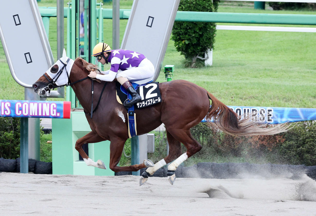 ながつきSを制したサンライズアムールとルメール騎手（撮影・鈴木正人）