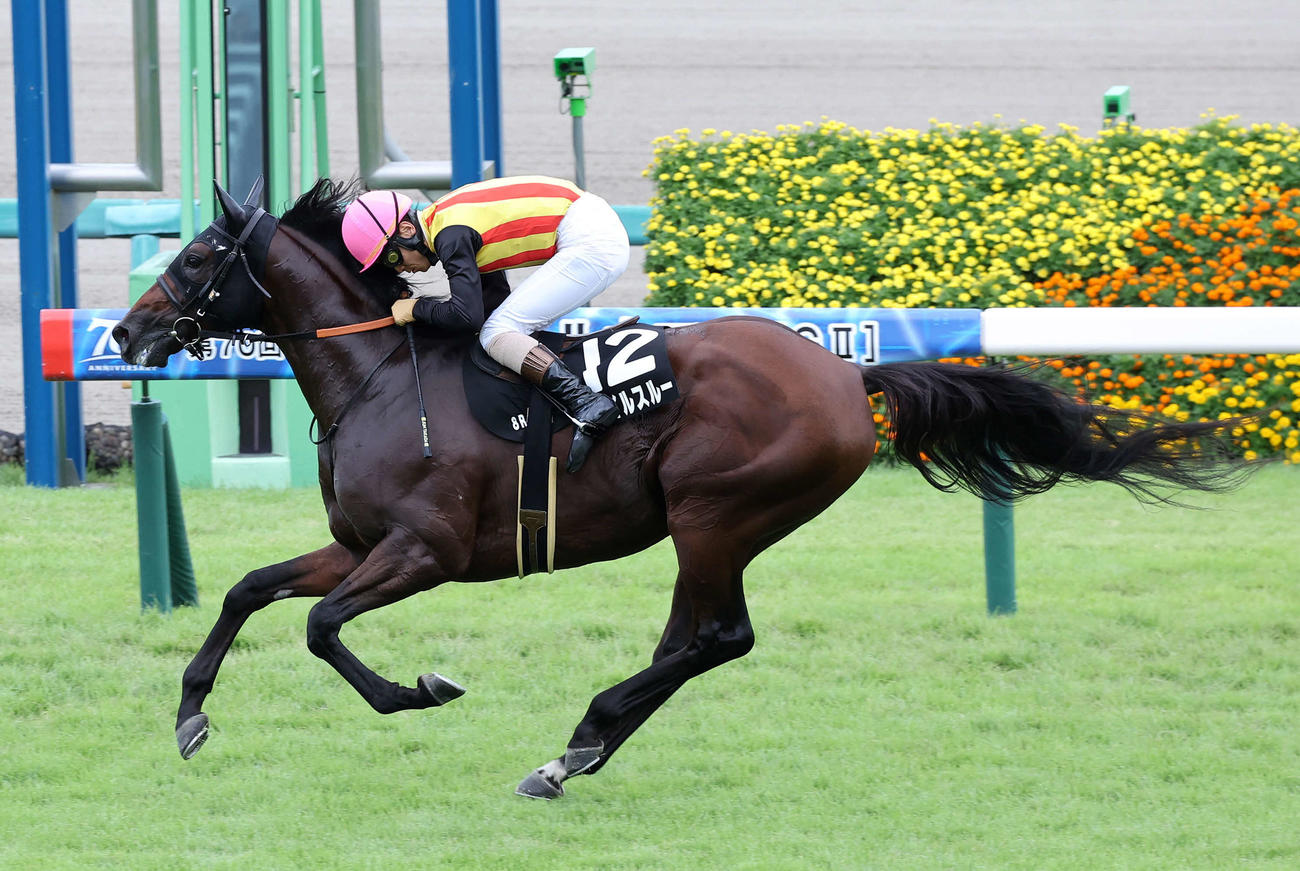 清秋ジャンプSを制したスマイルスルーと高田騎手（撮影・鈴木正人）