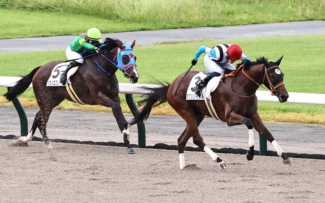 中京6R、1着のタクシンイメル（右）（撮影・上田博志）