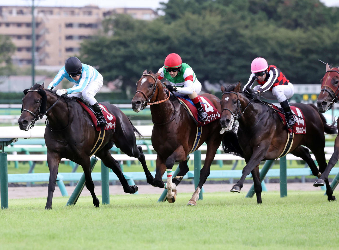 オールカマーで2着に逃げ粘ったアウスヴァール（左端）（撮影・鈴木正人）