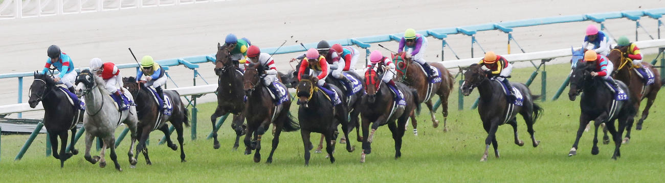 15年5月　第151回天皇賞（春）で7着に終わったキズナ（右端手前）。左から2頭目はゴールドシップ