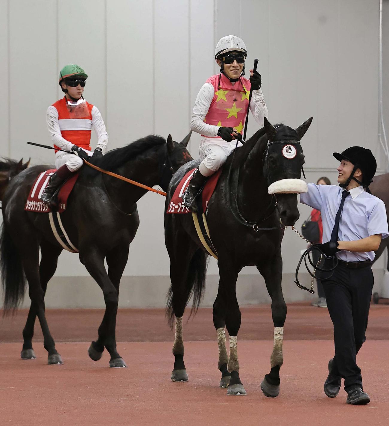 神戸新聞杯、2着のジューンテイク（右）と3着のショウナンラプンタ（撮影・上田博志）