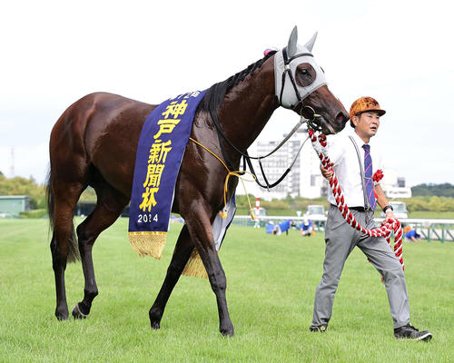 デスク便り】ゴールドシップとキズナ 現役時代は1勝1敗 産駒が菊花賞