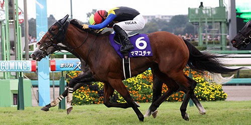 スプリンターズSを制したママコチャ（手前）と川田将雅騎手（撮影・鈴木正人）＝2023年10月1日、中山競馬場