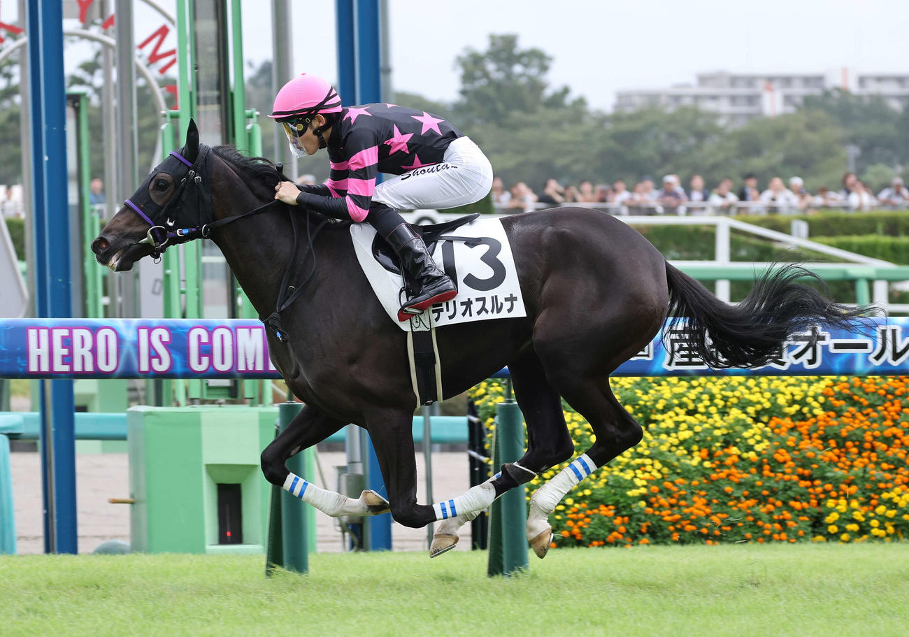 中山5R、逃げ切って新馬戦を快勝したテリオスルナと小林勝騎手（撮影・鈴木正人）