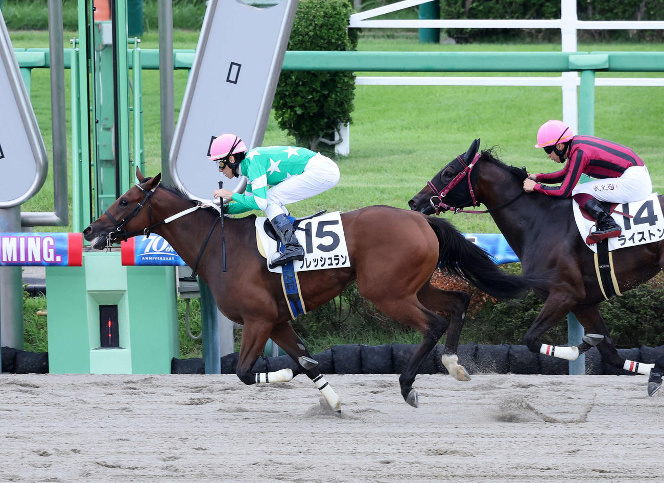 中山4R、新馬戦を制したフレッシュランと津村騎手（左）（撮影・鈴木正人）