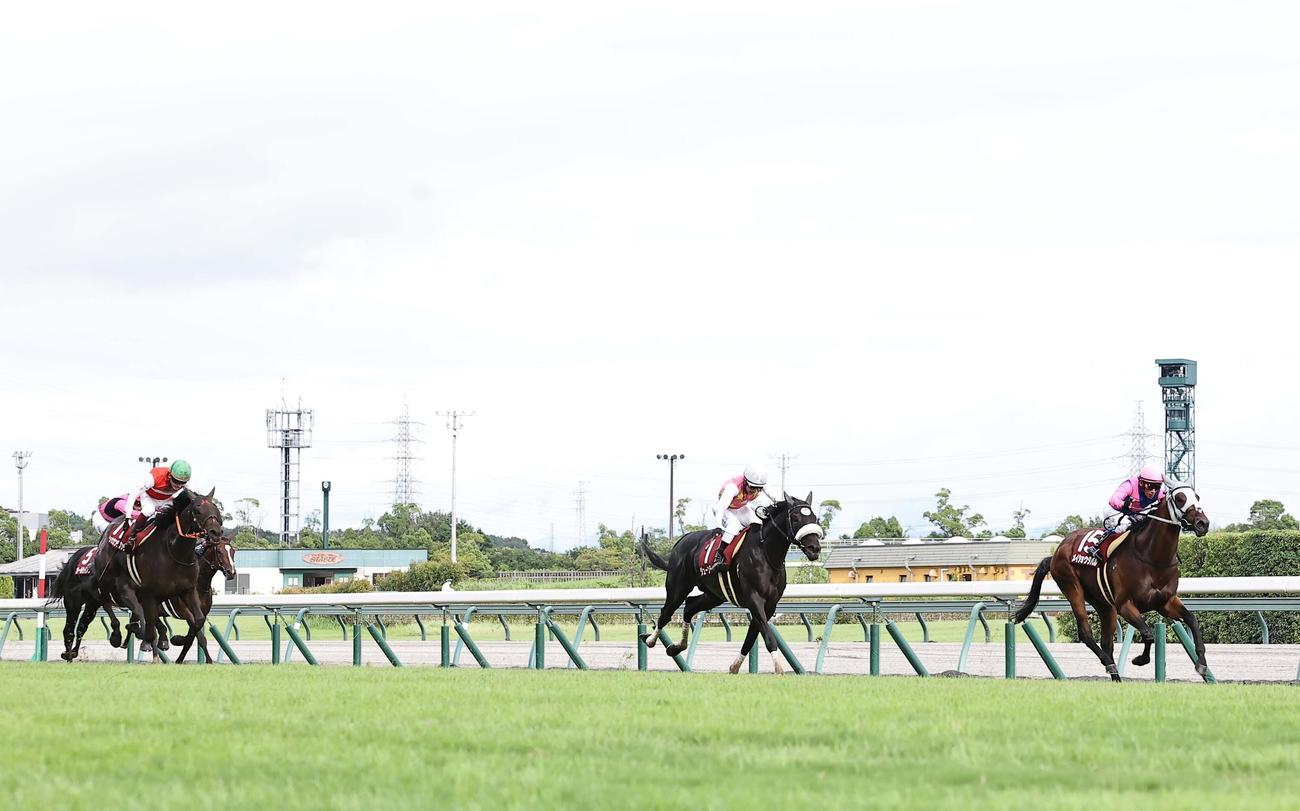 神戸新聞杯のゴールを目指し直線を駆ける、右から1着メイショウタバル、2着ジューンテイク、3着ショウナンラプンタ（撮影・上田博志）