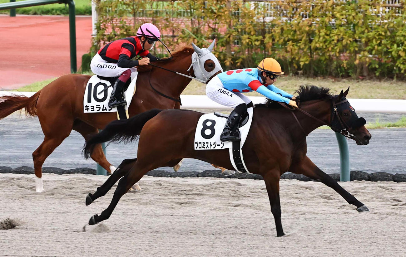 直線で抜け出し新馬戦を快勝したプロミストジーンと川田騎手（右）（撮影・上田博志）