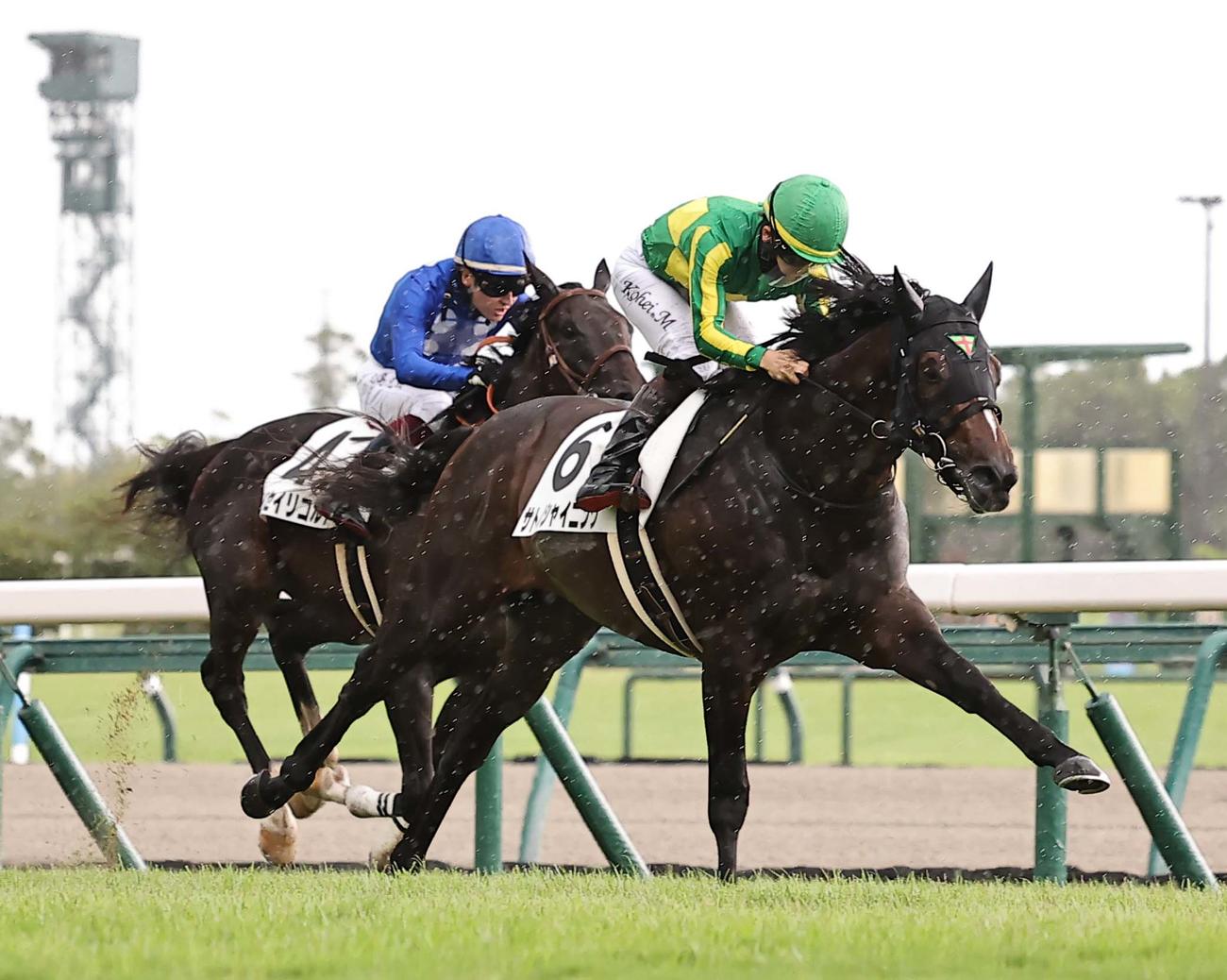 好位から抜け出し新馬戦を制したサトノシャイニングと松山騎手（手前）（撮影・上田博志）
