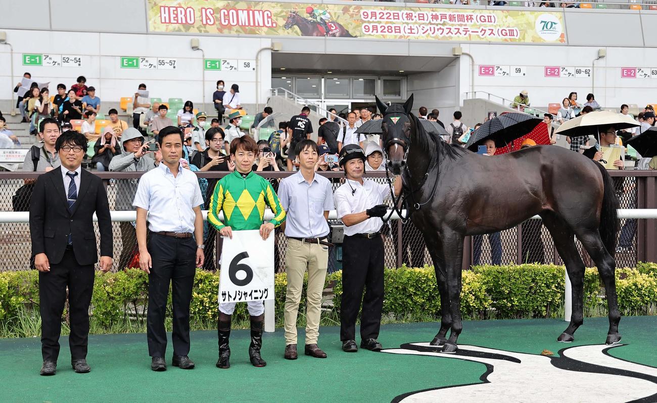 新馬戦を制したサトノシャイニング（撮影・上田博志）