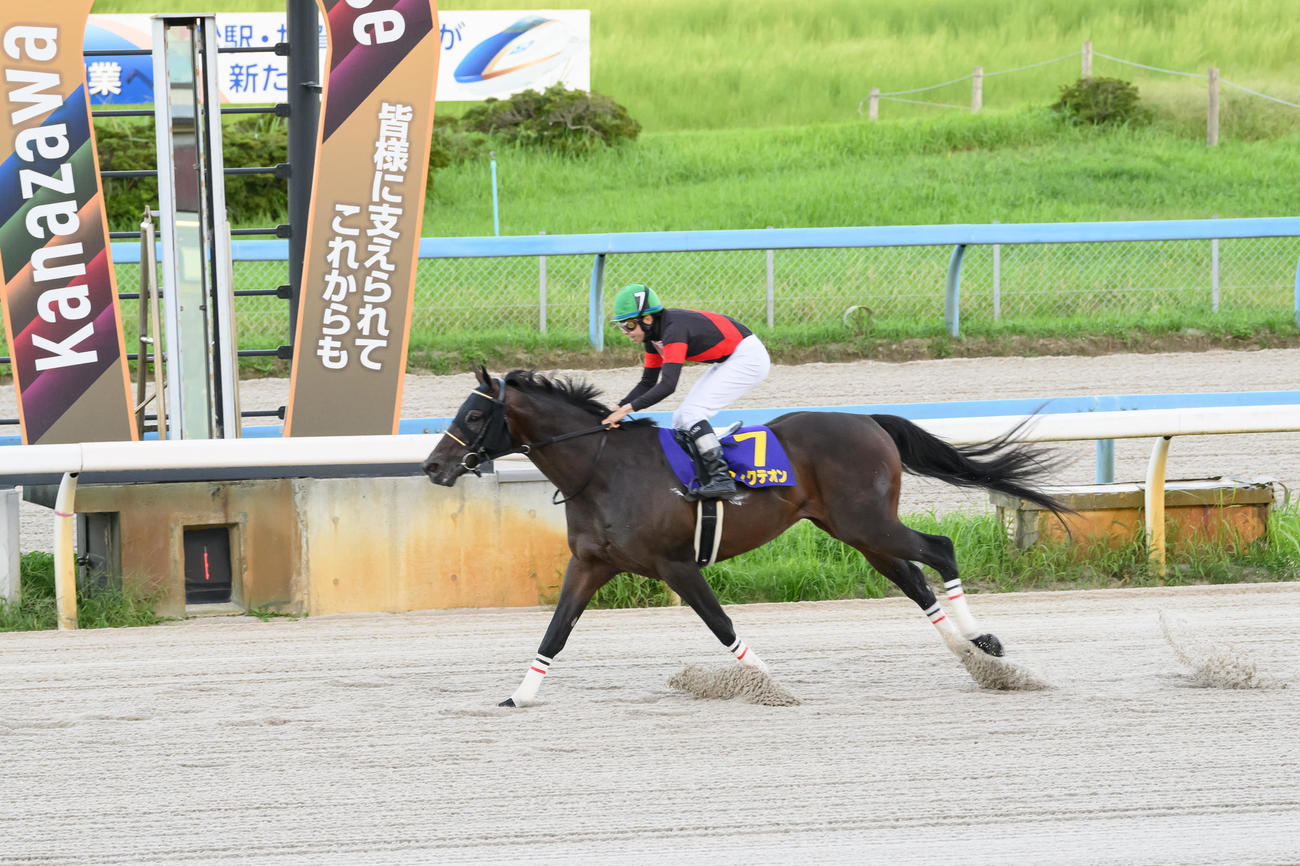 白山大賞典を制したディクテオン（提供：石川県競馬事業局）