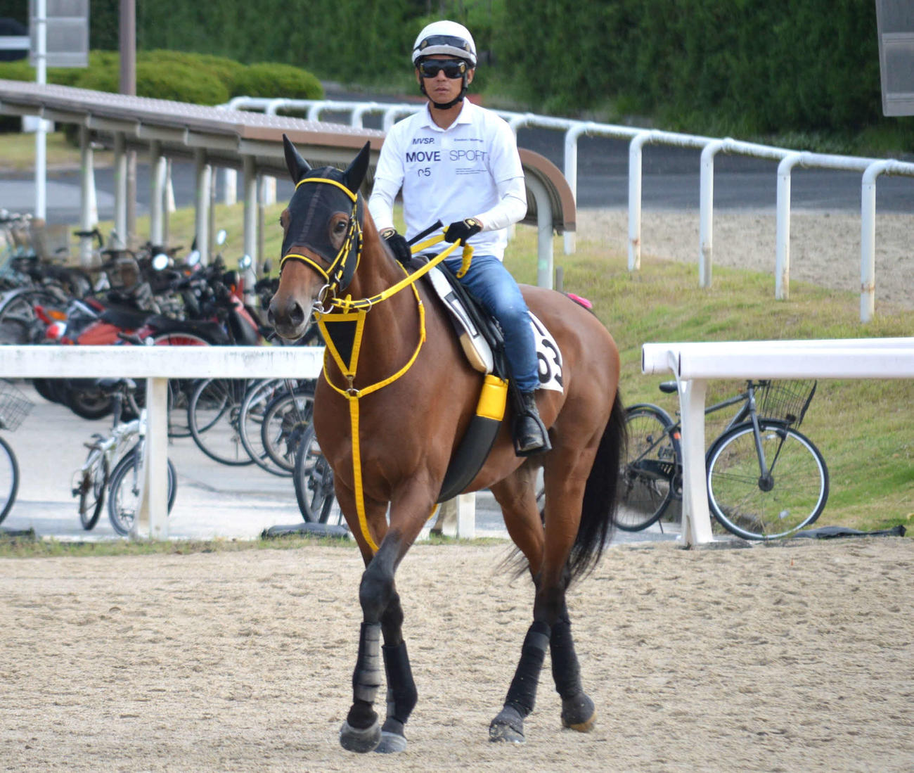 24日の朝、岡田厩舎のメイショウユズルハに騎乗する浜中騎手（撮影・藤本真育）