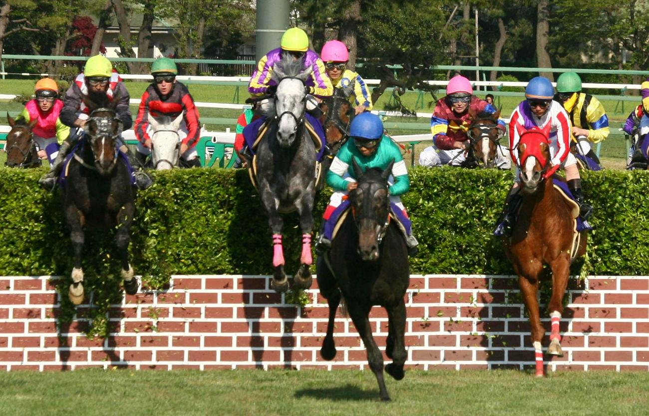 07年、中山グランドジャンプで3連覇を達成したカラジ（右から2頭目）