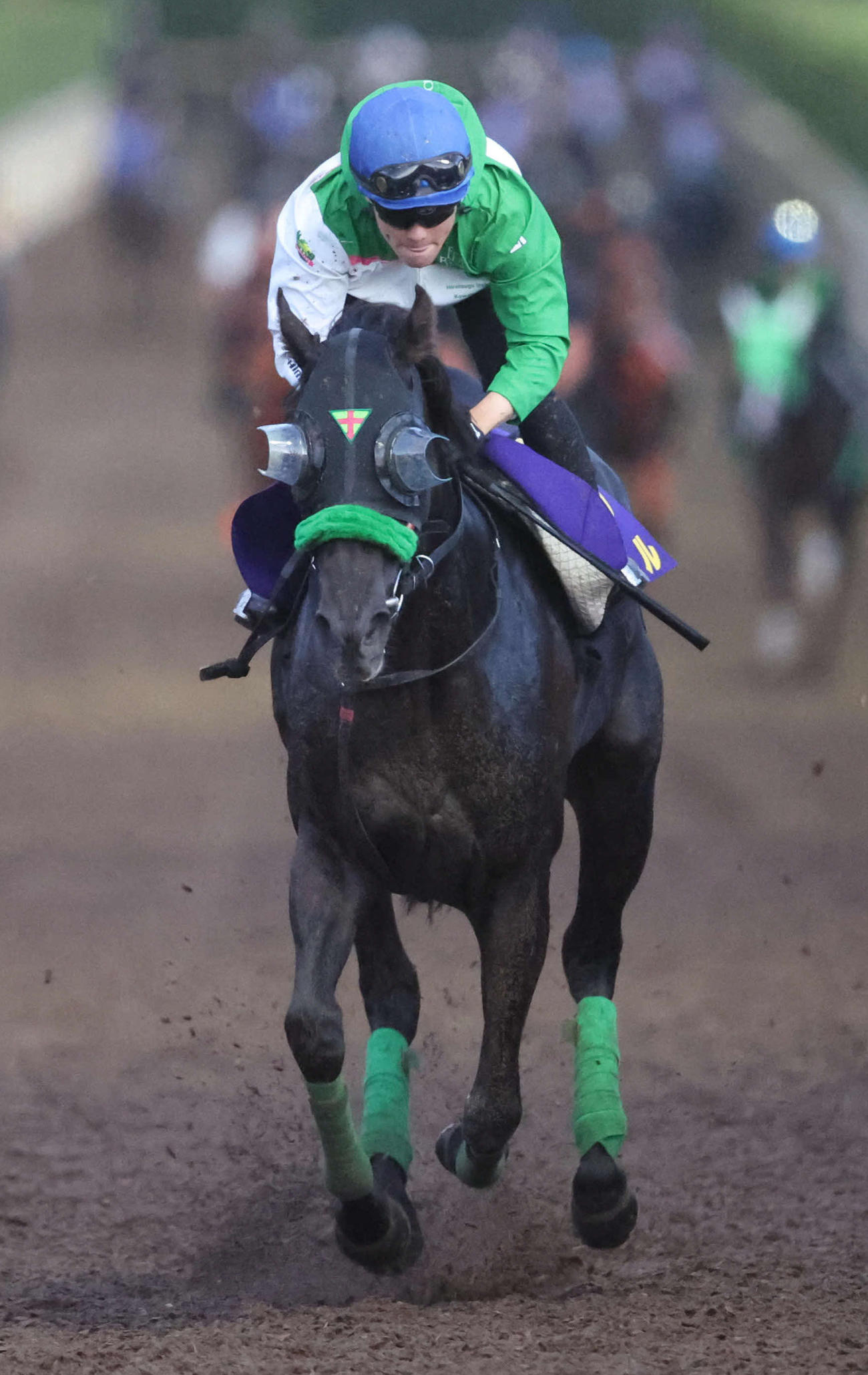 19日、西村淳騎手を背に坂路で追い切ったルガル