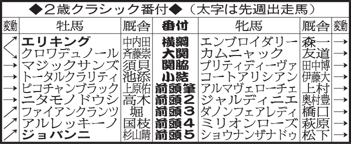 2歳クラシック番付