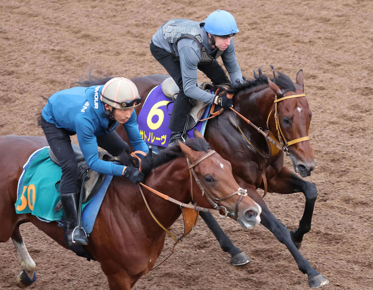 サトノレーヴ（右）はレーン騎手を背に美浦坂路を力強いフットワークで駆け上がった（撮影・丹羽敏通）