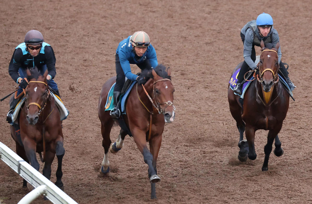 サトノレーヴ（右）はレーン騎手を背に美浦坂路を3頭併せで追い切られた（撮影・丹羽敏通）