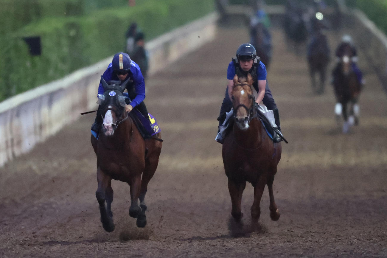 川田騎手が騎乗し、坂路で併せ馬に先着するママコチャ（左）