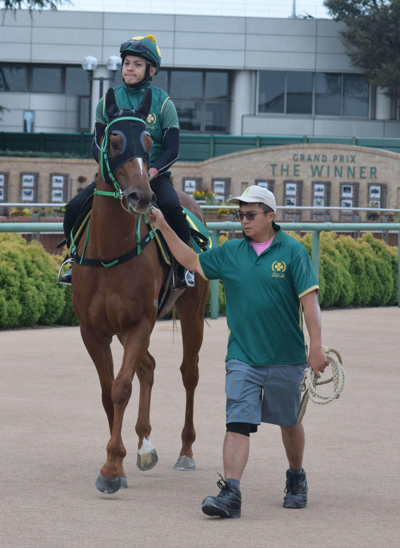 スプリンターズSに出走する香港馬ムゲンは中山競馬場のダートコースでの調整へ向かう（撮影・桑原幹久）