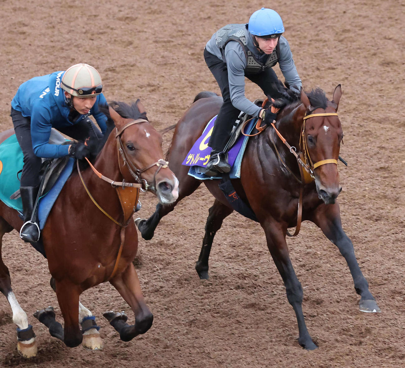 サトノレーヴ（右）はレーン騎手を背に美浦坂路を力強いフットワークで駆け上がった（撮影・丹羽敏通）