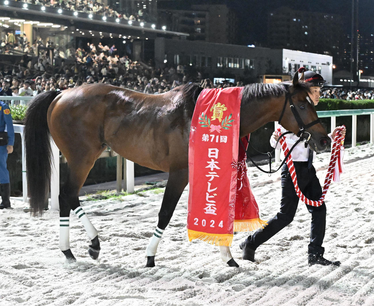 船橋11R第71回　日本テレビ盃　日本テレビ盃を制したウィリアムバローズ（撮影・千葉一成）