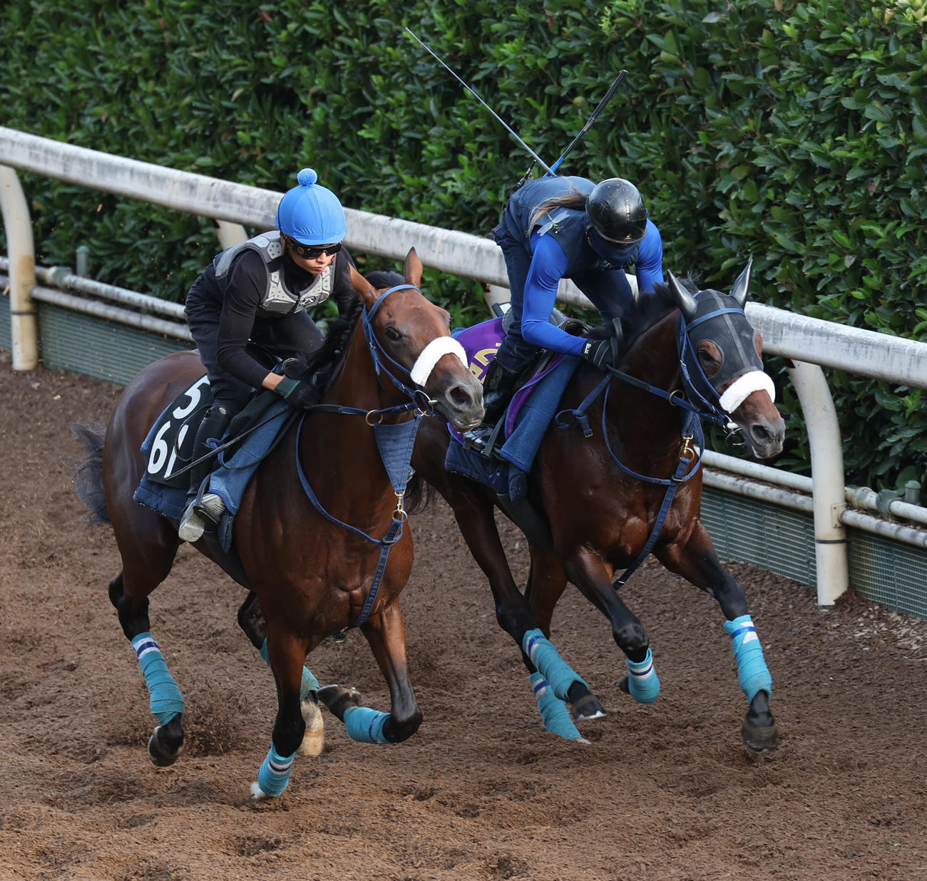 坂路で追い切るブローザホーン（右）