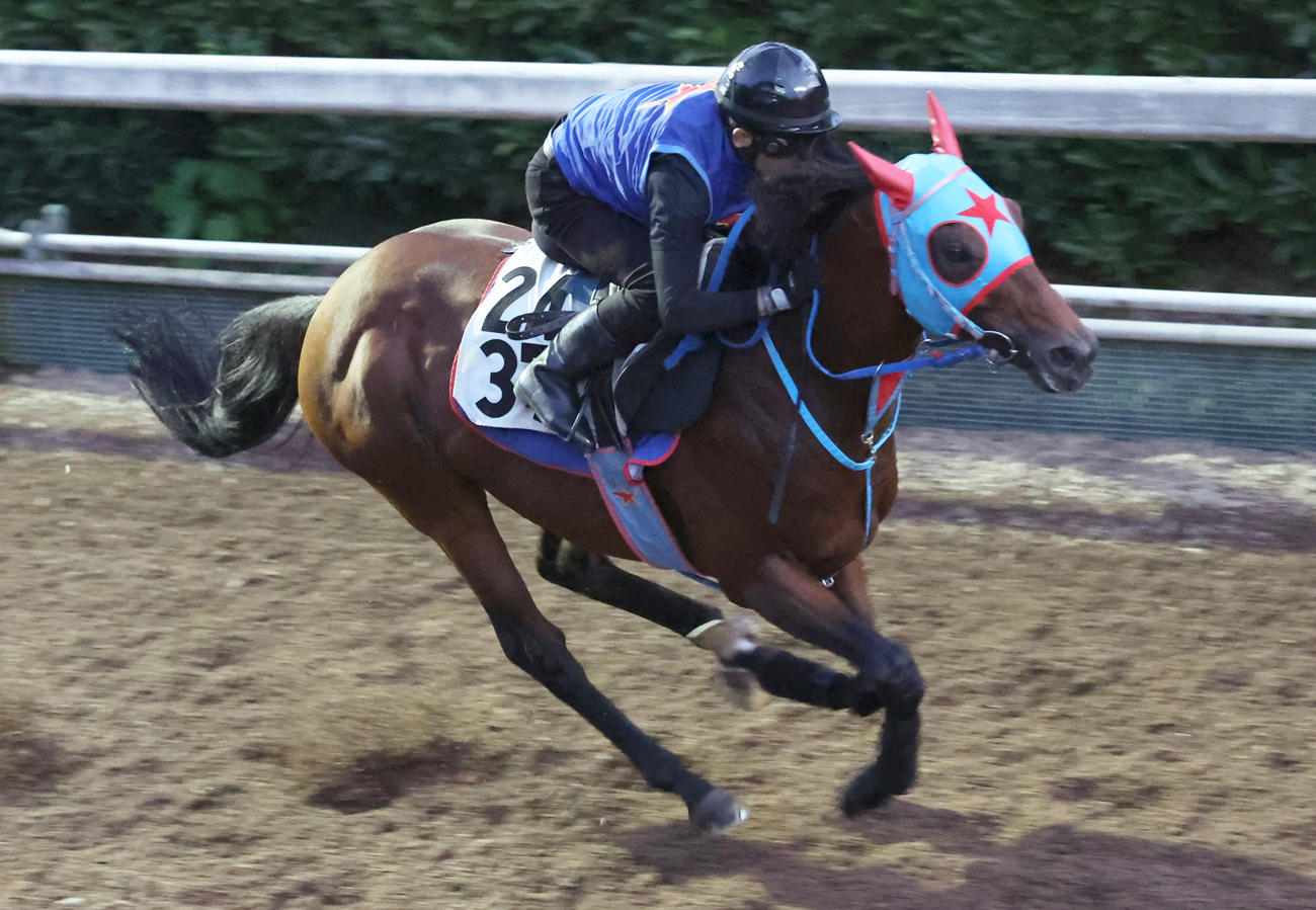 坂路で追い切るロコポルティ